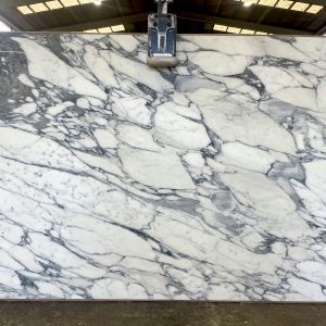 Arabescato Corchia Original Honed MM22124